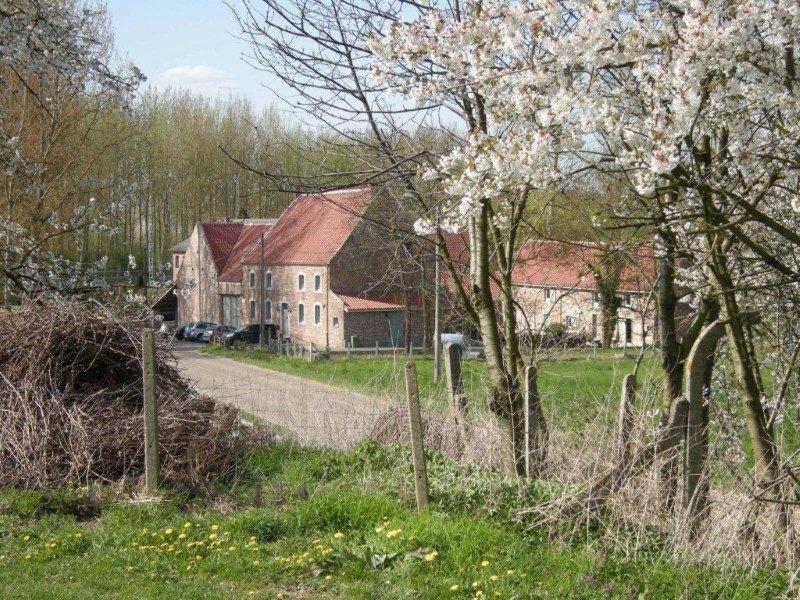 De Verborgen Parel B&B Borgloon Exteriér fotografie
