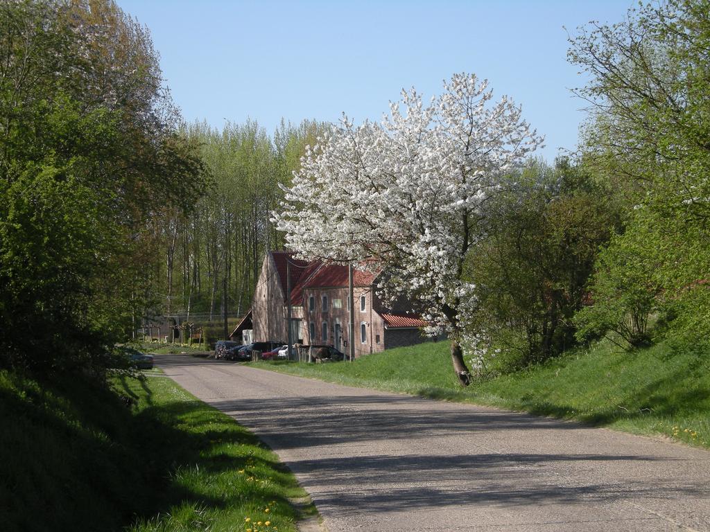 De Verborgen Parel B&B Borgloon Exteriér fotografie